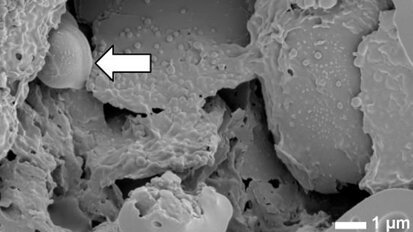 La gomma da masticare contribuisce a mantenere la salute orale (milioni di batteri, infatti, vi rimarrebbero intrappolati)
