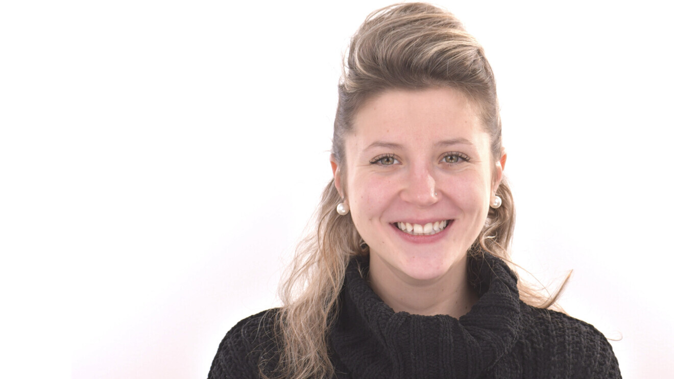 Fig. 7 : Situation finale à l’échelle du visage.