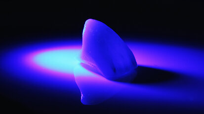 Първият конгрес на Българското дружество по медицинска фотография ще се проведе през април