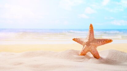 Buone vacanze da Dental Tribune e Tueor Servizi