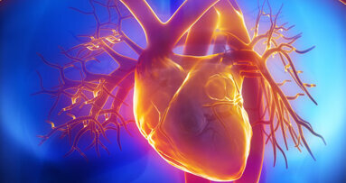 Bei Parodontose-Behandlung droht Gefahr fürs Herz