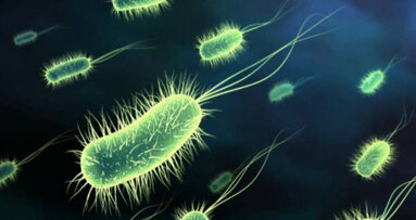 Τι είναι τα προβιοτικά;