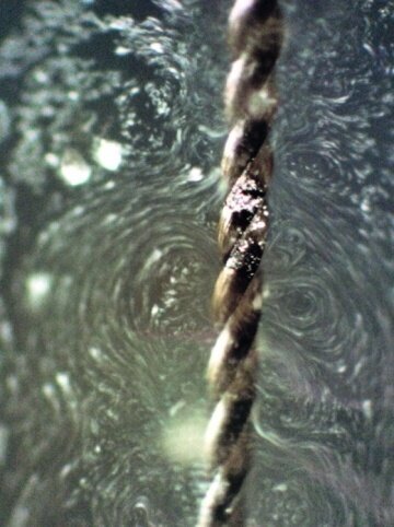Fig. 4: Acoustic microstreaming patterns produced by an ultrasonically energized K-file.
