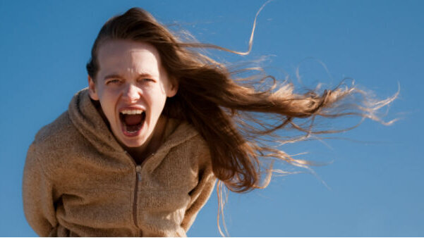 “L’estetica delle emozioni”: consigliabile approfondirle, specie in tempi di crisi