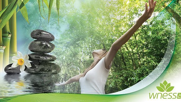 DENTAL TRIBUNE и WNESSTV обявиха своето партньорство