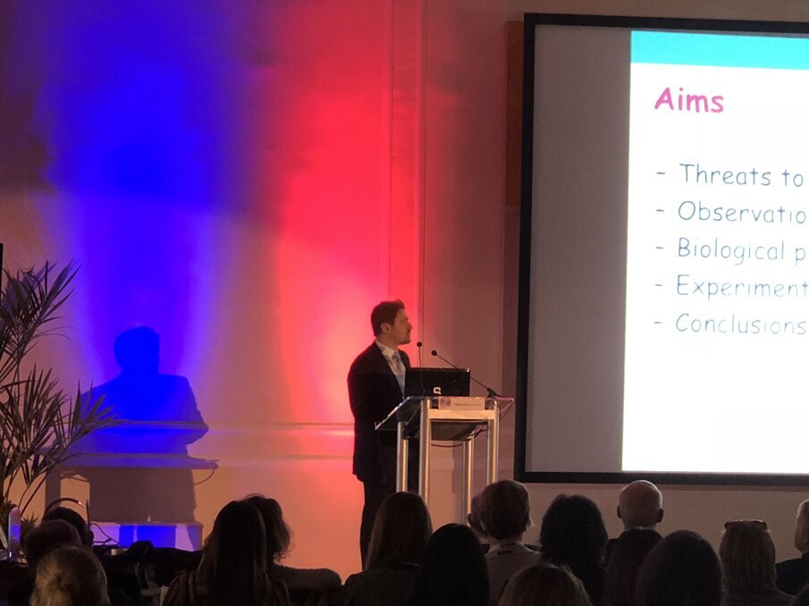 Il Prof. Francesco D'Aiuto.