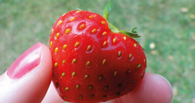 Gestione multidisciplinare del paziente cardiopatico: prevenzione dell’endocardite batterica