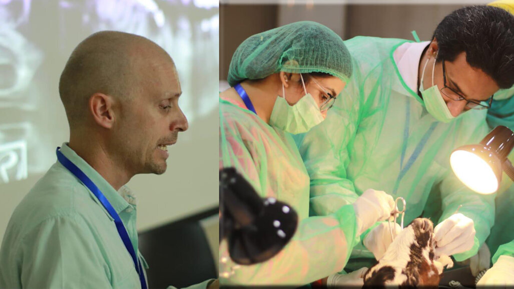 1st UHS IDC: Pre-Conference Workshops