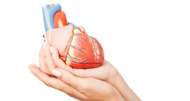 Nieuw licht op link tussen parodontitis en hartaandoeningen