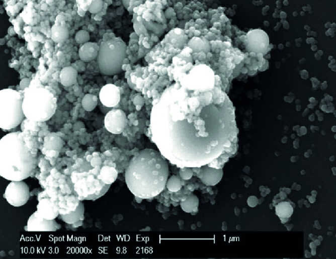 Fig. 4 a : Image MEB sous un grossissement de 20 000 fois. 