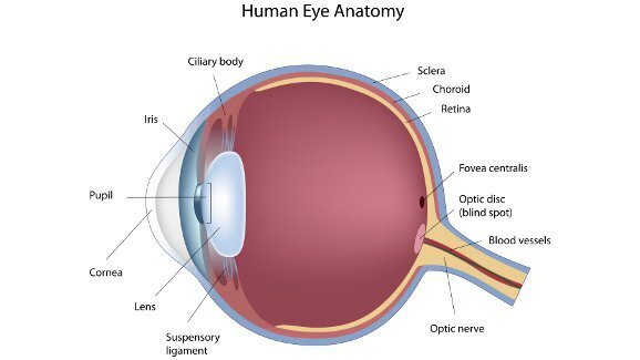 Slijepim osobama vraćen vid pomoću proteze napravljene od zuba