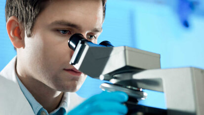 Naukowcy badają przezroczyste zęby głębinowych Aristostomias scintillans (ryb-smoków)