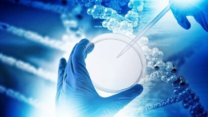 Pesquisadores identificam os genes responsáveis por lábio leporino e fenda palatina