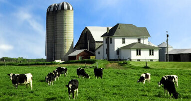 Bioengineers 'floss' bad gas from animal waste