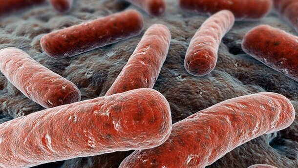 Bakterien haften stärker auf glatten Oberflächen