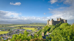 British Orthodontic Conference 2025