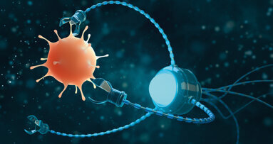 Erfolgsquote von Wurzelkanalbehandlungen steigern