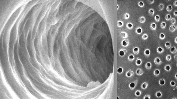 With a pledge to the AAE Foundation, Sonendo supports the advancement of endodontics