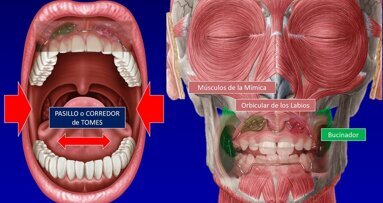 Los retos de la formación en Ortodoncia