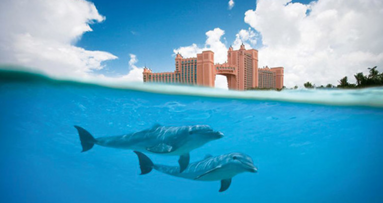 Ponentes de primera línea en la isla del paraíso: IV Conferencia Mundial de MIS