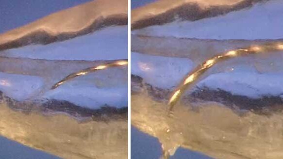 Control the anatomy; control procedural training