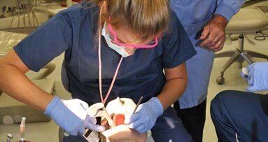 University of New England to hold career exploration camp for high school students