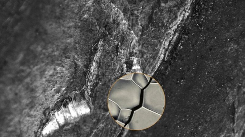 New method could prevent failure of dental implants