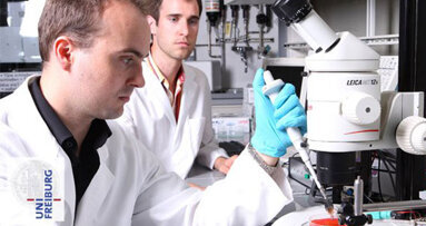 Das Bakterium in der Laser-Falle