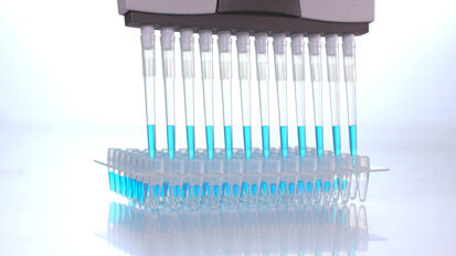 Přínosy enzymů a bílkovin  v zubní pastě pro zdraví dásní