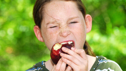 Eiweiße für Selbstheilung des Zahnschmelzes verantwortlich Eiweiße für Selbstheilung des Zahnschmelzes verantwortlich