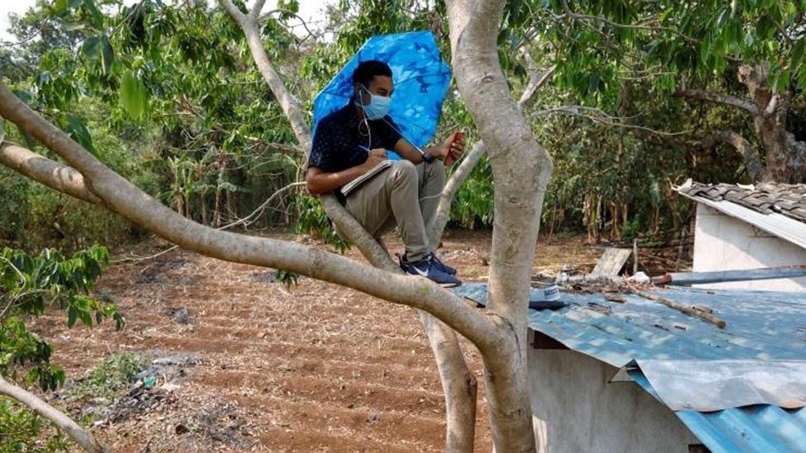 La necesidad de aprender