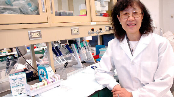 Deux nouvelles études associent le BPA au cancer du sein et de la prostate