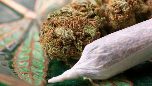 Long-term cannabis use linked to periodontal disease