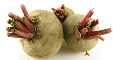 Naukowcy badają właściwości prozdrowotne buraków ćwikłowych