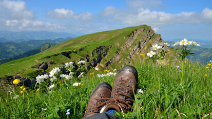 Arbeitsklima Index: Beschäftigte wollen kürzere Arbeitszeiten