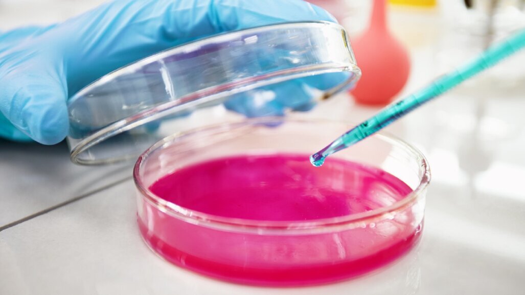 Diptool – polskie narzędzie do szybkiej identyfikacji nowych leków antybakteryjnych