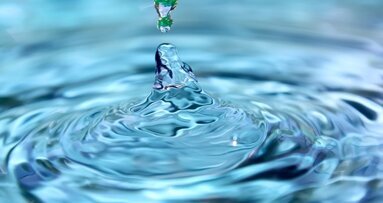 Kongress thematisierte Heilwasser