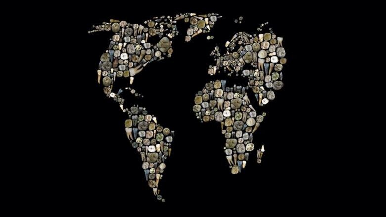 Researchers discover which dental traits reveal genetic relationships