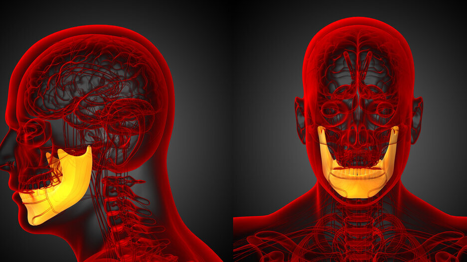 Craniofacial surgery: Customized bone implants grown inside the patient