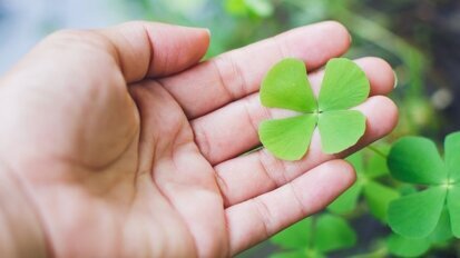 Column Stephan Tjiook: Patronen veranderen