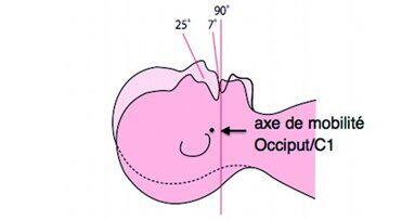 Les patients n’en font qu’à leur tête. Alors comment manipuler la tête et les cervicales de nos patients ? Leçon 5