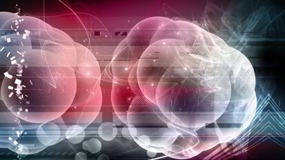 Kieferknochen aus Stammzellen geschaffen