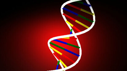 Cellule staminali da grasso, condizioni per un legittimo utilizzo