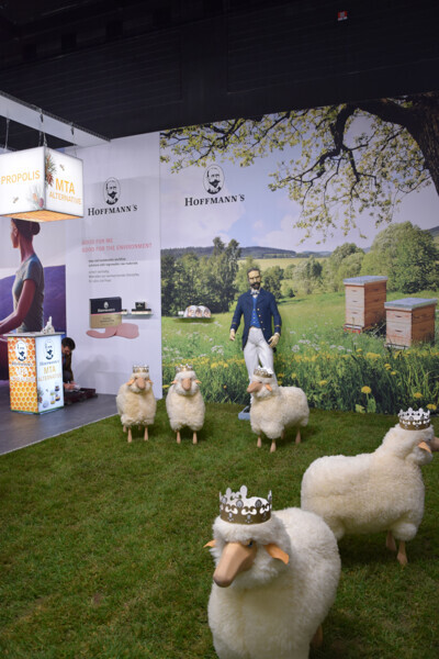 Hoffman公司作为一家拥有三代历史的医疗材料制造商，展示了其最新产品。