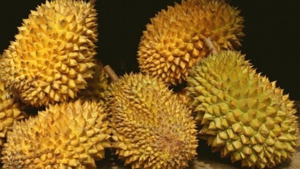 亚洲的一项研究提示：每天吃个榴莲，牙齿不长龋