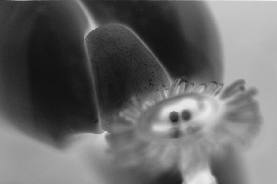 Fig. 17 - Utilizzo di una ruota di gomma sezionata per creare una superficie liscia irregolare.