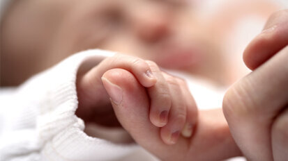 Neue Erklärung für Lippen-Kiefer-Gaumenspalten Neue Erklärung für Lippen-Kiefer-Gaumenspalten