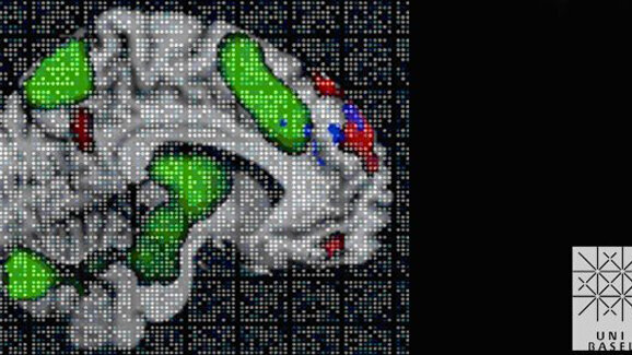 Basler Forscher entdecken Gedächtnismolekül