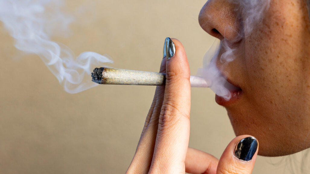 Cannabis use and oral health effects: What the evidence shows