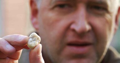 Fossil teeth solve diet riddle of largest prehistoric ape